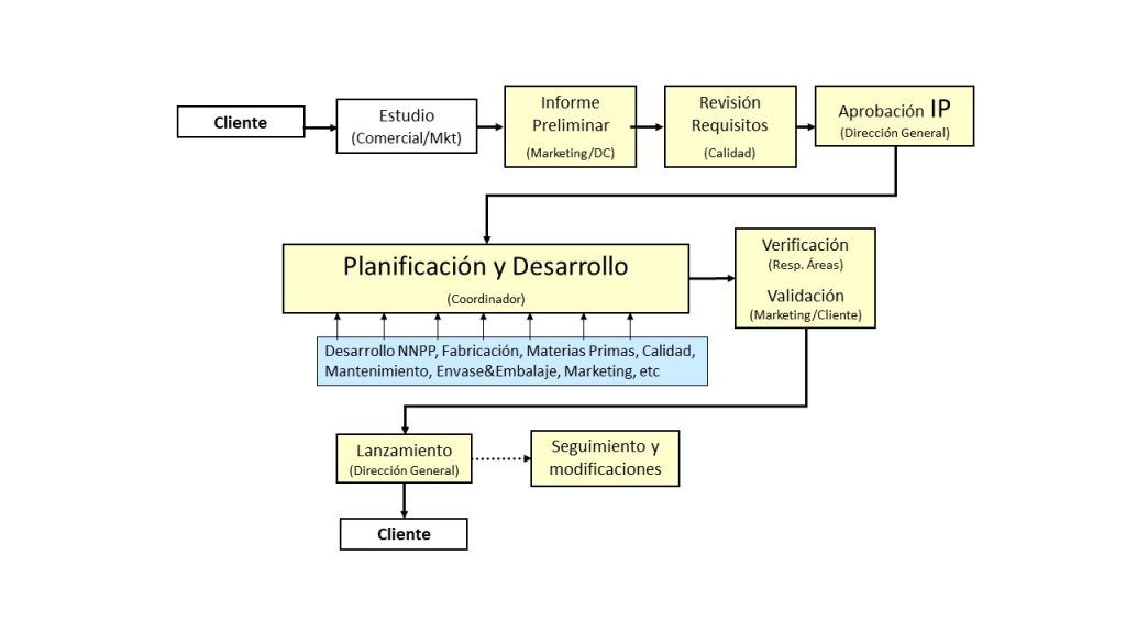 proceso de desarrollo