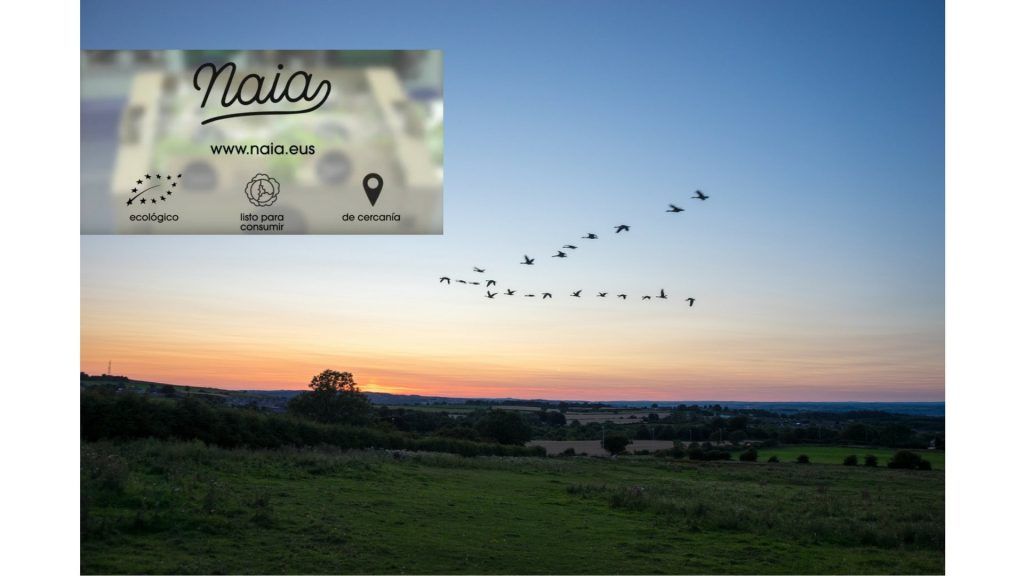 naia empresa con alma