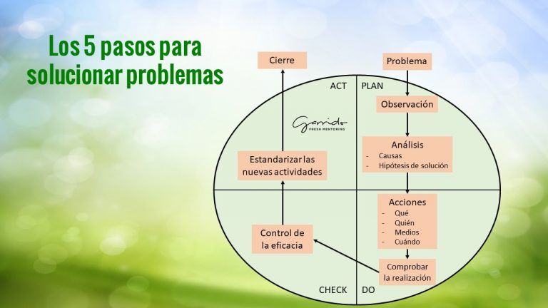 Los 5 pasos definitivos para solucionar problemas - Garrido Fresh Mentoring