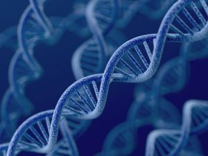 la innovacion y el ADN