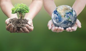 responsabilidad social empresarial agroalimentaria