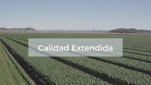 Calidad Extendida